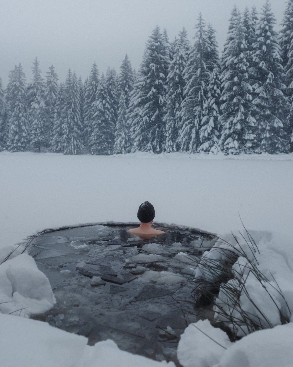 Eisbader im Eisloch vor verschneitem Fichtenwald